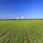 CO2 wird schneller abgebaut, als das Bundesverfassungsgericht glaubt