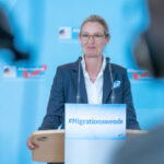 Was die anderen Parteien für die AfD tun