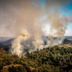 Feuerwehr von Rhodos: Die Brände wurden von Menschenhand gelegt