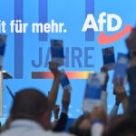 Die Medien in der AfD-Sackgasse
