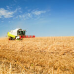 Zum Erntedankfest etwas zur Landwirtschaft, was viele nicht wissen