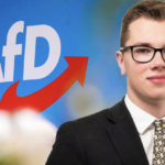 Die Weinflasche des Herrn Halemba und wie sie die Realität auffraß