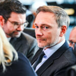 Bei den Liberalen von Parteichef Christian Lindner brennt der Baum