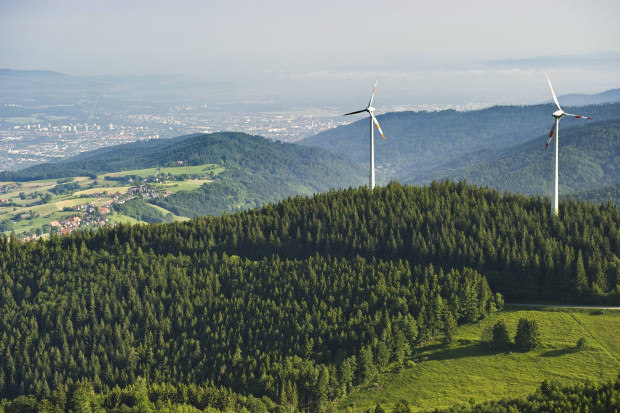 Windräder im Wald: Erschreckend hohe Risiken für Waldeigentümer bei Pachtende