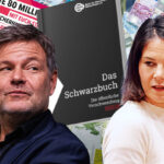 Mit vollen Händen wird das Geld der Steuerzahler aus dem Fenster geworfen