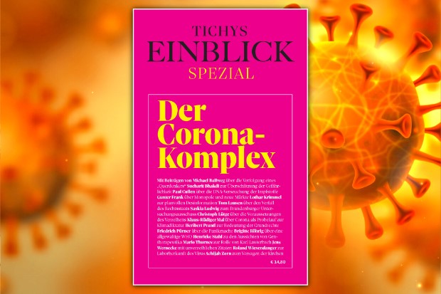 Das Prinzip Panik oder Der Staat schuf sich seine Kritiker selbst