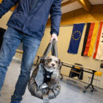 In Berlin zeichnen sich Verluste der SPD, Gewinne der CDU und AfD ab