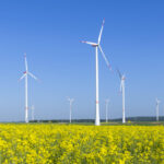 Soll eine kritische Studie zur Windkraft unterdrückt werden?