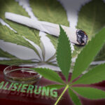 Cannabis: Die unterschätzte Droge