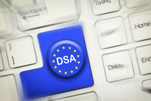 DSA: Cancel Culture in Reinkultur