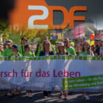Die Lebensrechtbewegung als Zielscheibe