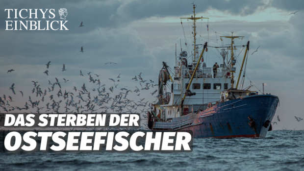 Bedrohte Ostseefischerei: Zwischen Inflation und Bürokratie