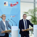 Stürzt die AfD bei Meinungsumfragen ab?