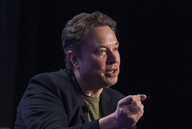 Elon Musk stellt sich vor AfD-Politikerin