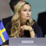 Schwedischer Fußtritt gegen deutsche Energiewender