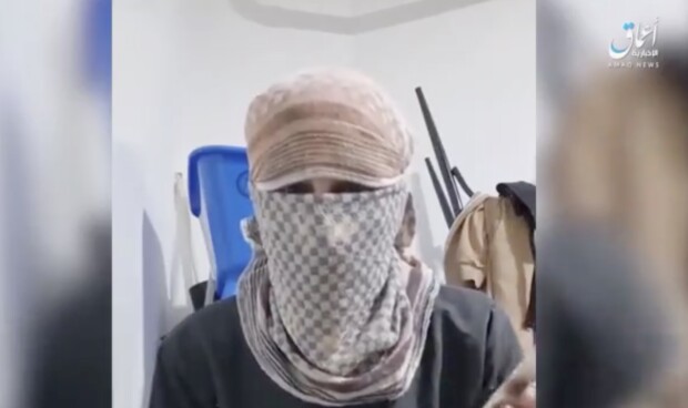Der Terror des Islamischen Staats im Franchise-Verfahren