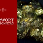Im Narrengold-Rausch