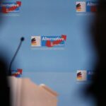 17 Verfassungsrechtler sehen gute Aussicht auf Erfolg für AfD-Verbot