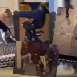 Muslimischer Mob greift Israelis an: Hetzjagden und Gewalt in Amsterdam