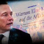 Elon Musk feiert die AfD und seine Meinung wird zur Staatsaffäre – was ist schon Meinungsfreiheit wert?
