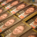 Während die Wirtschaft rasant den Bach runter geht, schreibt Habeck ein Buch