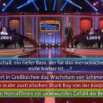 „Wer weiß denn sowas?“ – zum Infraschall