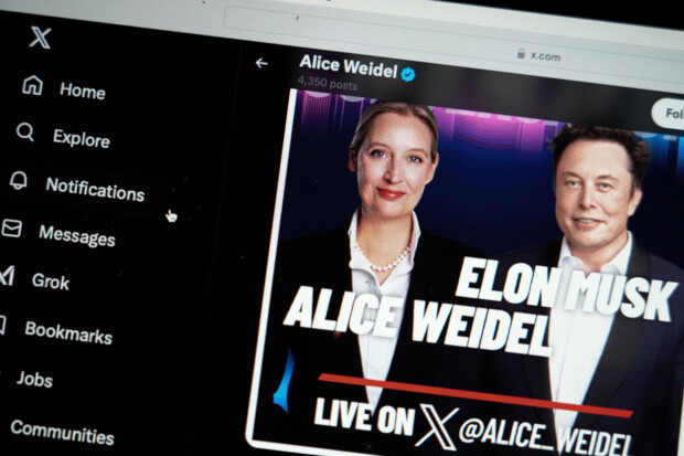 Alice im Elon-Land und die linken Angsthasen