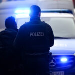 Der tiefe Fall des ifo-Instituts: Scheinstudie zu Zuwanderung und Kriminalität