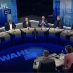 Dickhäuter und dünne Debatten