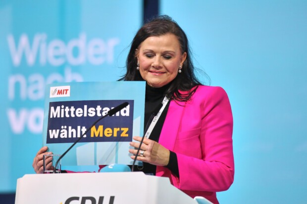 Wie die Union grün wurde: Frau Connemann und die Nashörner