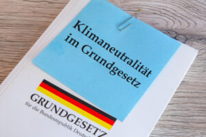 Der Ökologismus. Die neue deutsche Wahnidee