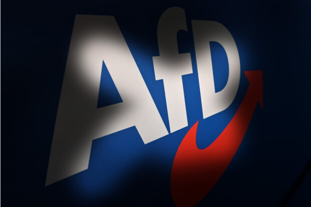 Im Umgang mit der AfD macht sich dieser Staat lächerlich