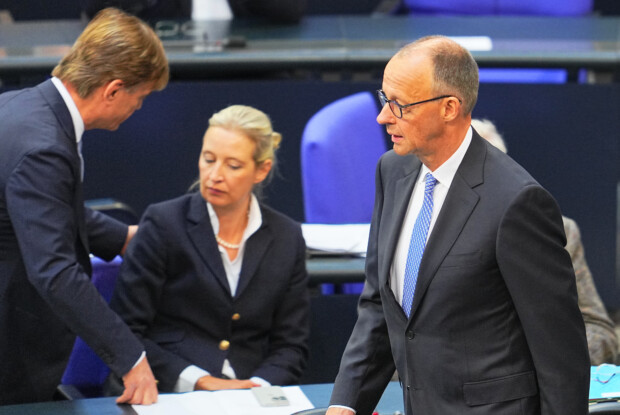 AfD fordert Neuwahlen