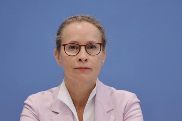 Frauke Brosius-Gersdorf: Mit der Axt ans Grundgesetz