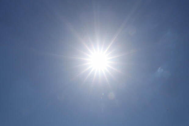 Hitze-Panik: kein Platz an der Sonne