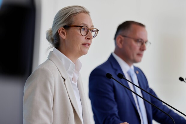 AfD probiert es mit Kreide – „Remigration“ fehlt in Grundsatzpapier