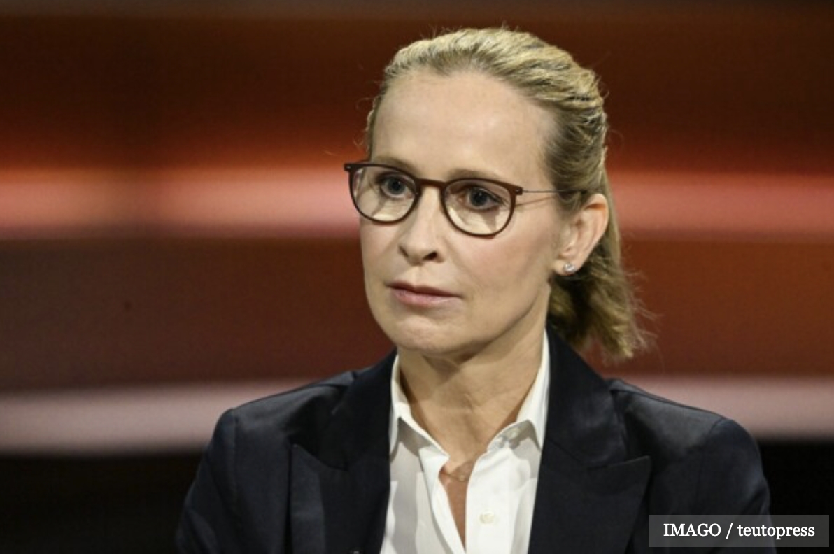 Neue Plagiatsvorwürfe gegen SPD-Richterkandidatin Brosius-Gersdorf